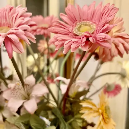 La Casa Della Pace *