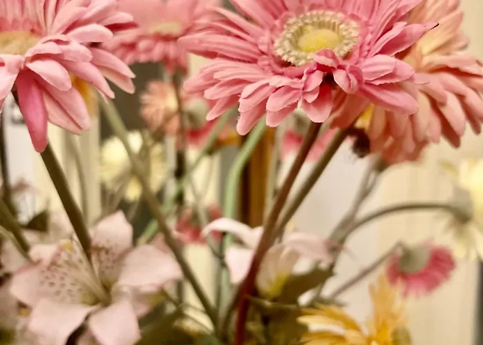 La Casa Della Pace *